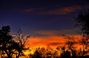 Sunrise at Senda Rocosa