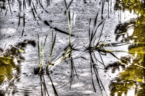  Before There Were Even Dinosaurs Life Existed