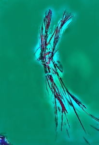 Emeralds & Butterflys