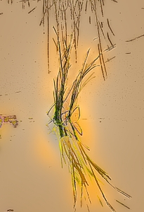 Fantastic, yet Subtle