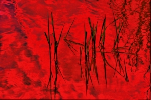 A Quick and permanent run to Hell